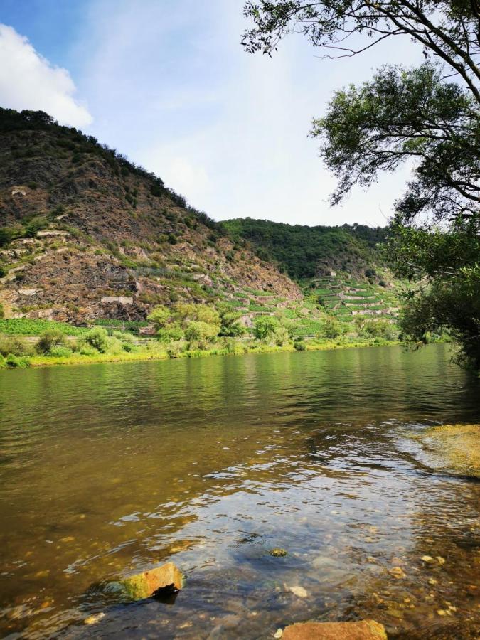 فندق Landhaus Halferschenke ديبليخ المظهر الخارجي الصورة